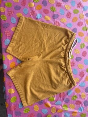 Aerie shorts